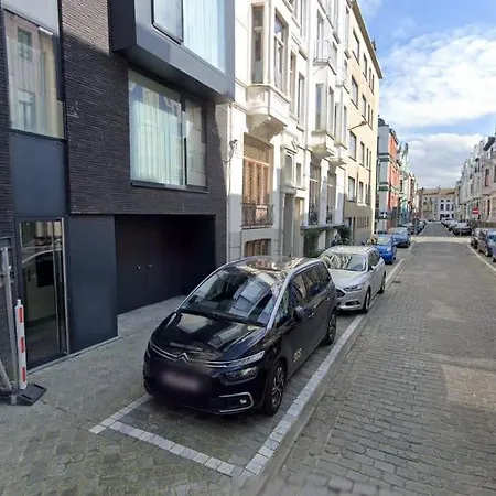 Thout Dichtbij Zee